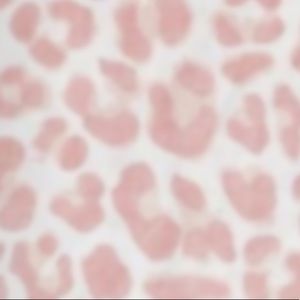 Meet your Posher, Katelyn